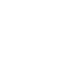 ce logo Roanoke